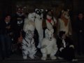 DSCF2766.JPG